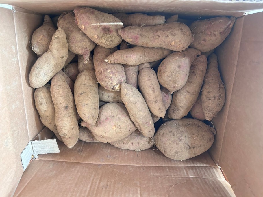 1af4c4d78fb3af90c221e96e9c1b724d_1762828