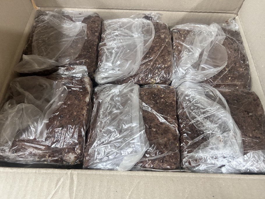 2106fd305d6d681452a513753b0a8a6c_1763266